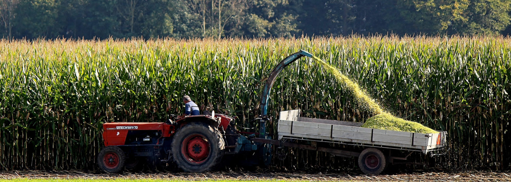 tractor