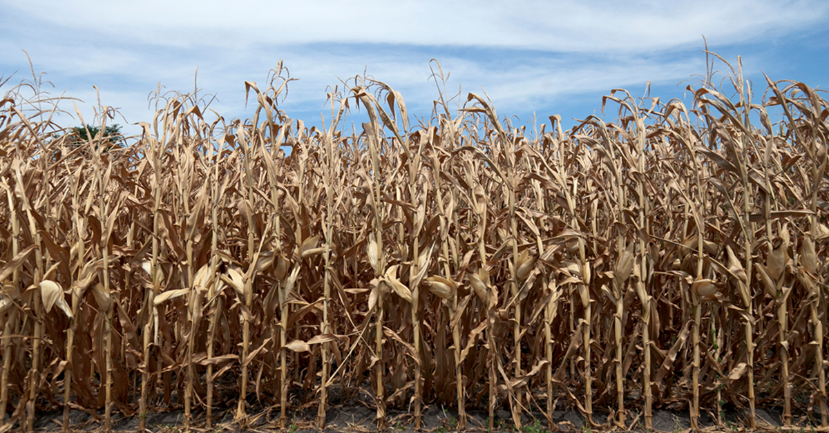 farming_water_conservation_issues